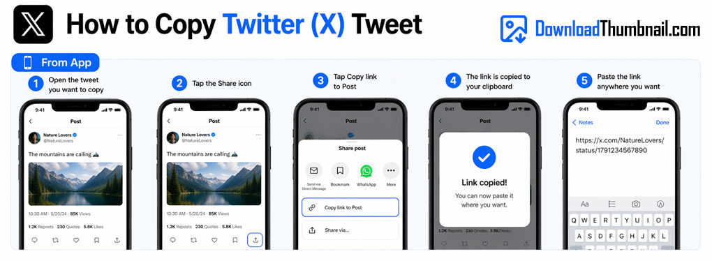 How to copy a Twitter/X link on mobile to download the thumbnail